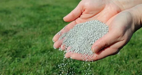 تصویر 4 از قیمت  کود ۳ بیست با کیفیت ارزان + خرید عمده